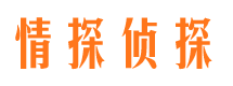 开阳侦探公司